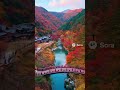 秋の上空撮影ドローン風【AI】