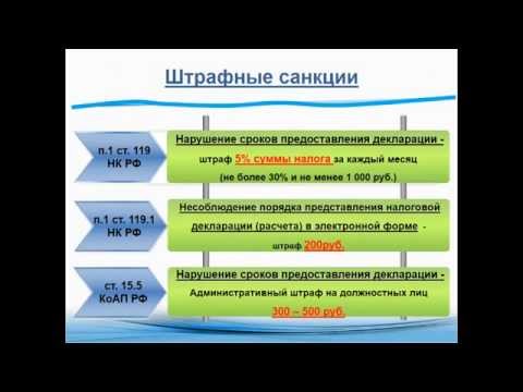 Особенности заполнения декларации по налогу на прибыль mp4 1