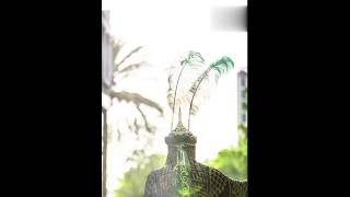 Abbas Alamdar Status Hazrat Abbas Alamdar