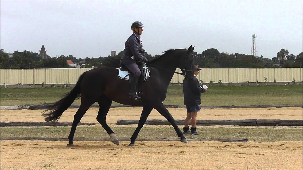 ultrascan ballymount