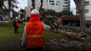 La Avenida Pardo Luce Totalmente Renovada 🛣️✨