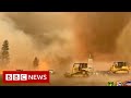New video by BBC News on YouTube