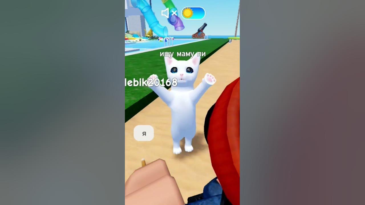 кот мемчик - YouTube