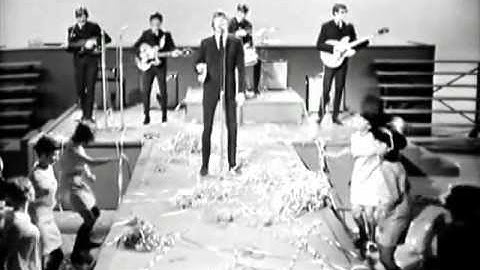 Herman's Hermits - Wonderful World