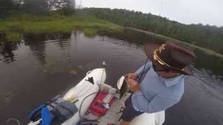 Lac Ste Marie - Achigan GB / Largemouth Bass - Lunkerhunt Frog Full - DafishaMinh (Pêche / Fishing)