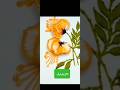 Flowers Stitches Embroidery Full Tutorial Hath Ki Kadahi Shortsviral Embroideryflowertutorial Flowers Stitches Embroidery Full Tutorial Hath Ki Kadahi Shortsviral Embroideryflowertutorial