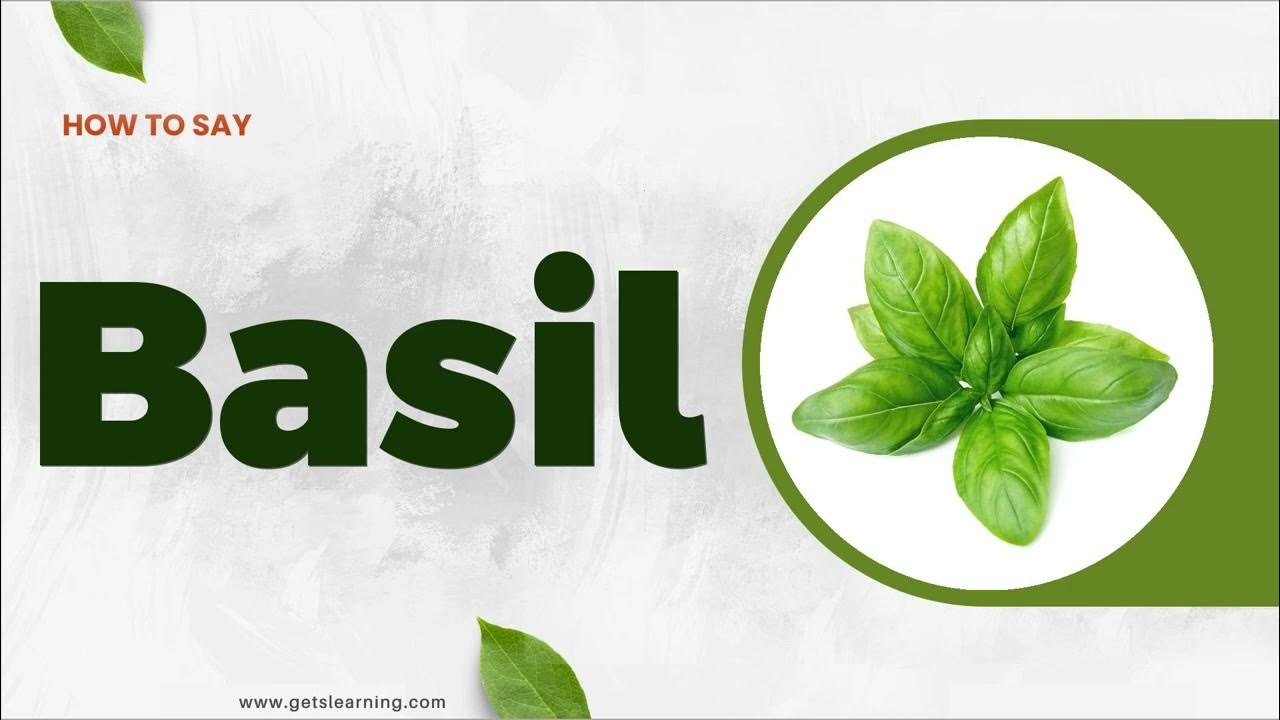 How to Pronounce Basil in American English YouTube