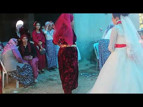 Müzisyen Özlem Ökten AKŞEHİR düğünleri Çakıllar köyü mahallesi Emre & Sultan Arslan çiftinin