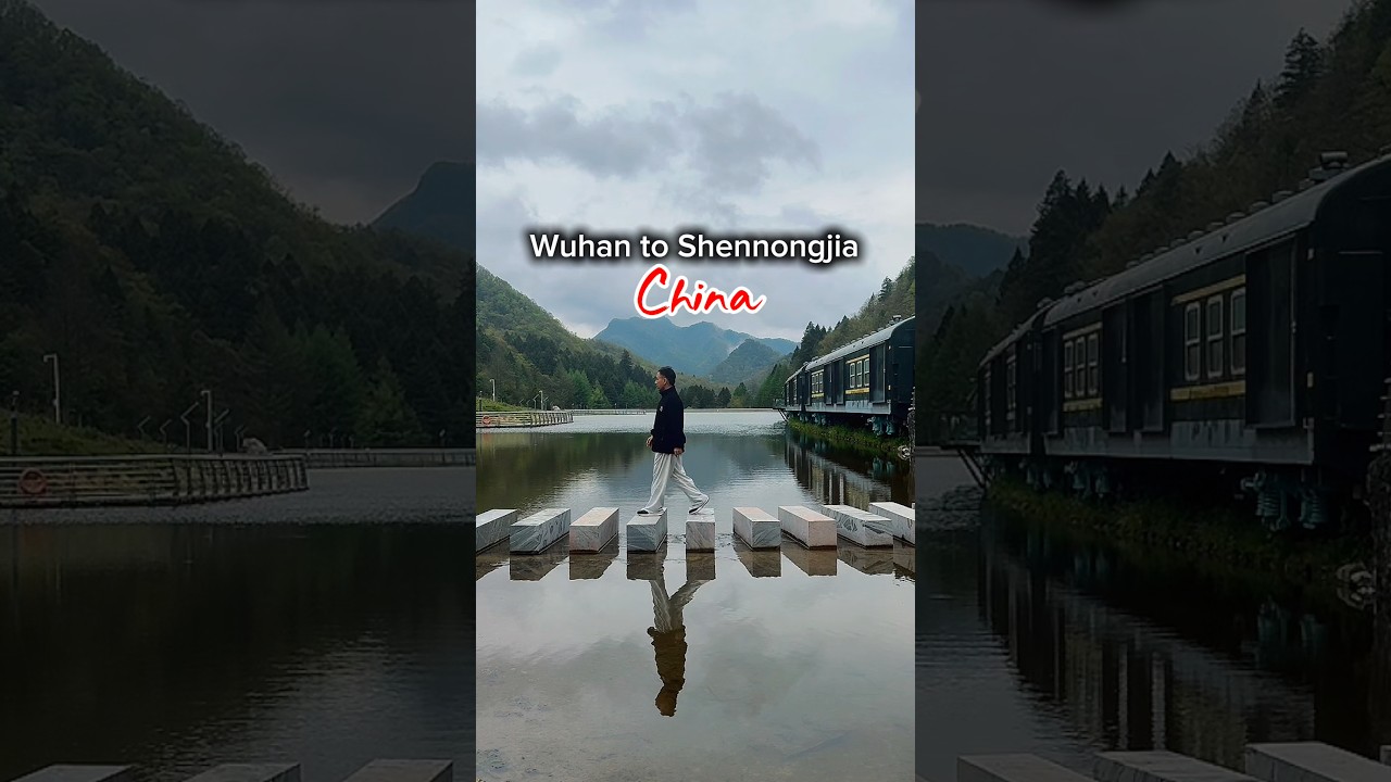 This is Shennongjia in China #shennongjia #hubei #china