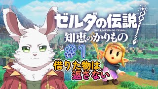 知恵より武闘派『ゼルダの伝説 知恵のかりもの』 #1