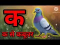 क से कबूतर ख से खरगोश ग से गमला | क ख ग घ | क से ज्ञ तक | हिंदी वर्णमाला | ka se kabutar 