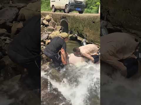 我的天哪！这两个人急需救援！ #kindness #inspiration #helpothers #viral thumbnail