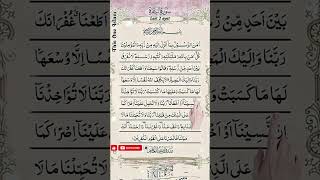 Surah Al Baqarah Ki Aakhri 2 Ayat 🤍 | Har Raat Ki Powerful Protection #ameen #surahrehman