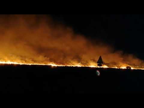 Denuncian la proliferación de incendios provocados en Doñana, junto al Guadiamar