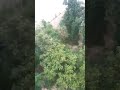 Drone Seen🏞️ #shorts #drone #shortvideo