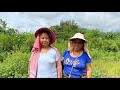 A little help to my mom for cleaning kitchen gardenvillage life tibetanyoutuber tibetanvlogger