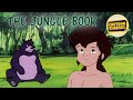 JUNGLE BOOK full movie | movies for kids | Mowgli | videos for kids | cartoons for children