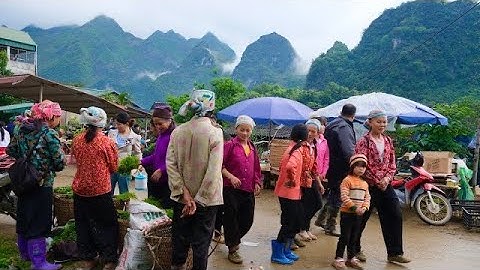 Chợ Phiên Xuân Trường Bảo Lạc CAO BẰNG Mộc Mạc Nhất Vùng Đông Bắc | Miền núi tây bắc