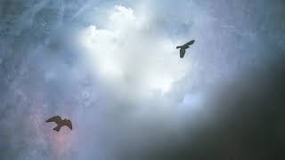 Download Lagu Tribute to freeman2545 (Paul Gresh) MP3