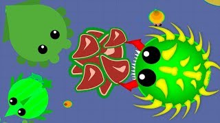 Я В ТОПЕ!!! ПРОКАЧКА В МОПИО. Игра для детей и взрослых Mope.io Я В ТОПЕ!!! ПРОКАЧКА В МОПИО. Игра для детей и взрослых Mope.io