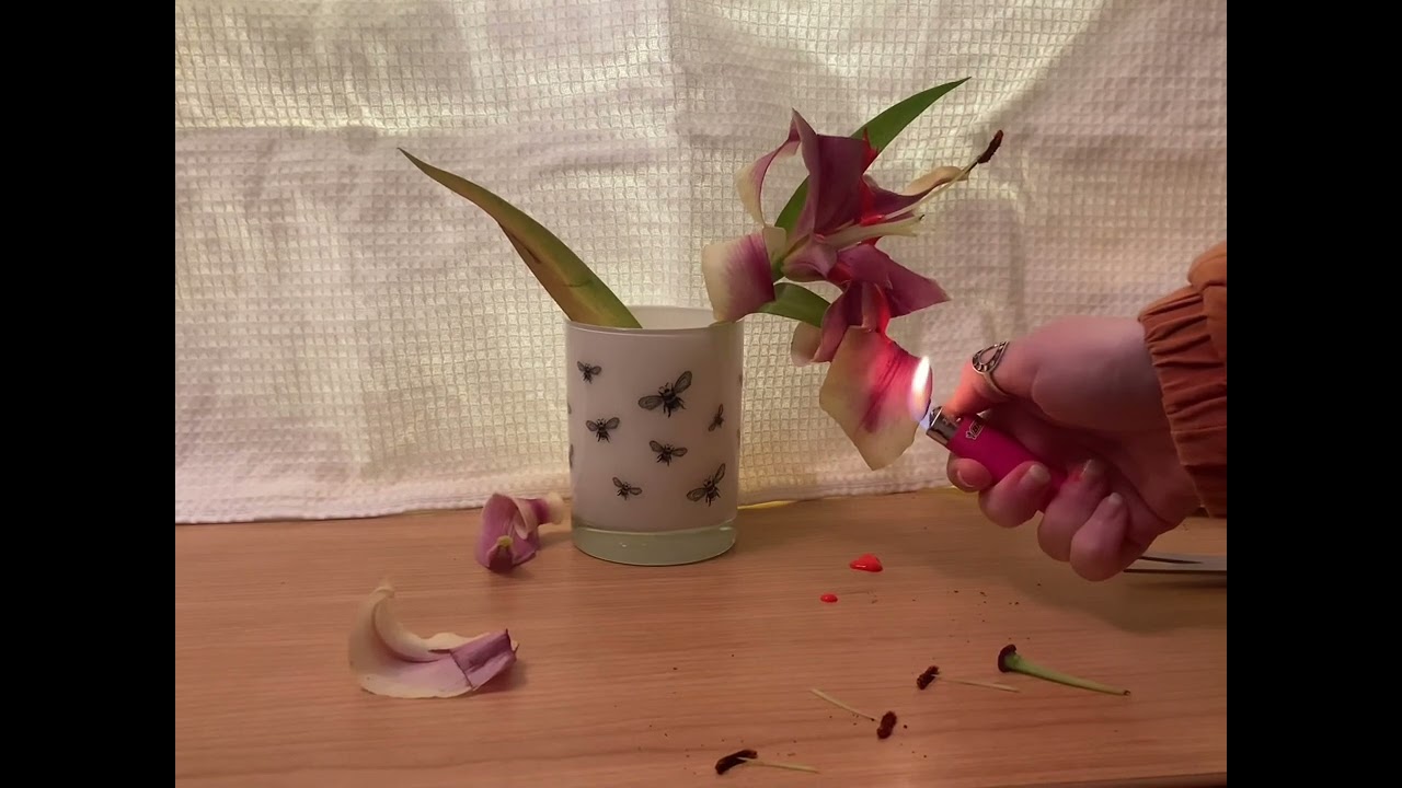 art-188 performance art video