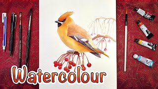 ✨How to paint a bird in watercolour 💫 🎄❄️