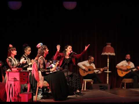 Flamenco Esmirna - Naci en Alamo Cover