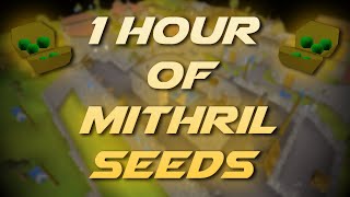 Planting Mithril Seeds | Testing OSRS Wiki Money Making Methods