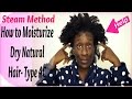 How to Moisturize Natural Hair using a Hair Steamer ( 4c 4b)