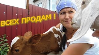 ❗ПРОДАЖА❗СРОЧНО БРОНИРУЙТЕ,А ТО ВСЕХ ПРОДАМ. ПРОДАЖНОЕ ВИДЕО О ТЕЛЯТАХ И ПОРОСЯТАХ! АЙРШИРЫ И ДЮРКИ. ❗ПРОДАЖА❗СРОЧНО БРОНИРУЙТЕ,А ТО ВСЕХ ПРОДАМ. ПРОДАЖНОЕ ВИДЕО О ТЕЛЯТАХ И ПОРОСЯТАХ! АЙРШИРЫ И ДЮРКИ.