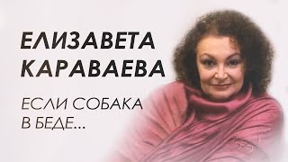 Породистые собаки-объект черного бизнеса, пожизненные узники в клетках. Счастливые истории спасения.