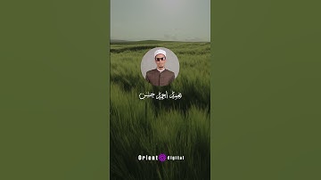 🌹 من أجمل ما قرأ الشيخ محمد أحمد حسن… تلاوة تخليك تبكي بخشوع