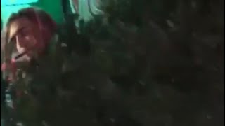 Lil Pump Steals A Christmas Tree