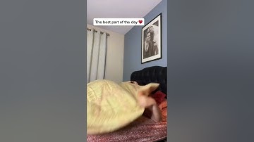 Our most viewed shorts of 2022 with 103.1M views…its a simple one but it’s full of love💕#shorts