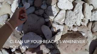 Clear Tides Marine Debris Campaign