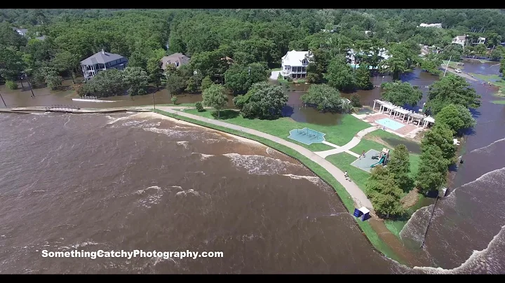 Drone video shows Tropical Storm Cindy flooding on...