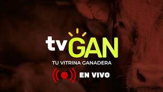 TU VITRINA GANADERA EN VIVO 30/04/2026