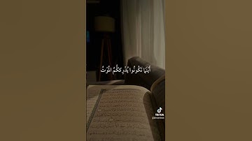 استمع إلي هذا القرآن الكريم واكتب يارب #comedianmahmoudagamey #محمودعجمي