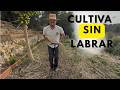 PREPARANDO BANCAL PARA CULTIVO DE VERANO (SIN LABRAR)