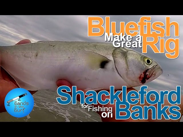 A Great Rig for Bluefish on Shackleford Banks 
