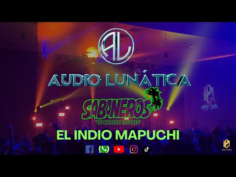 EL INDIO MAPUCHI