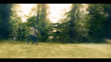 CTF Gynx X HK Torzah