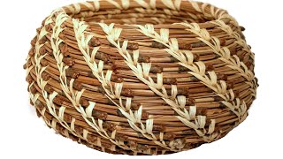 Coiled Basket Kit  Pine Needle