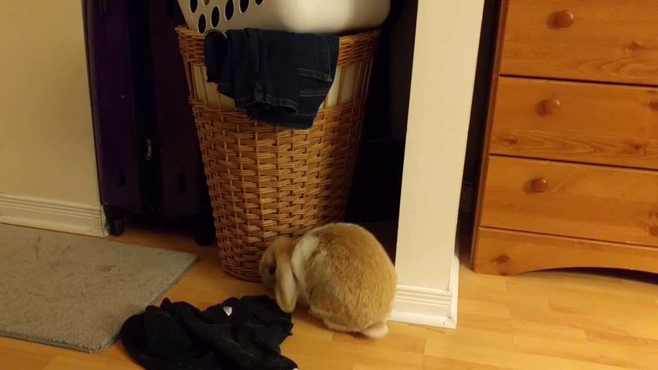 Stormy delights at Midnight