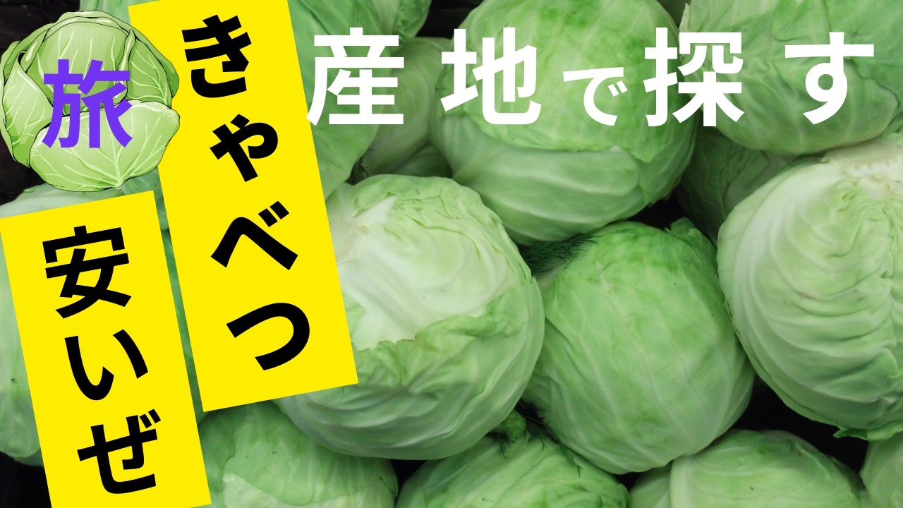 The Hunt for Cheap Cabbage (Atsumi Peninsula Trip): Roadside