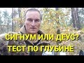 Сигнум или деус тест по глубине