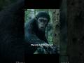 #movie #film Dawn of the Planet of the Apes (2014) | Caesar Warns the Humans