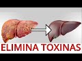 Como ELIMINAR toxinas (Todas las limpiezas y cuando realizarlas)