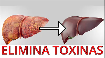 ¿Cómo se eliminan las toxinas del hígado?