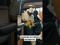 DIAMOND NI KIBOKO AKAMATIKI DIAMOND NI KIBOKO AKAMATIKI